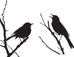 Black silhouette bird on the branch white background