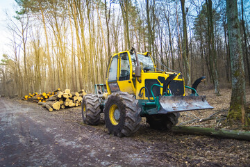 Skidder machine in the forest, spring day