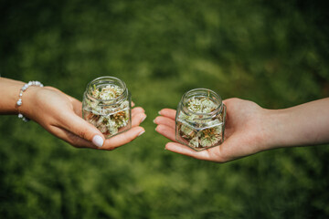 two hands holding flowers in glass jarr herbal harmony