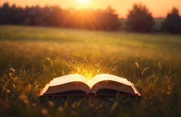 Selbstklebende Fototapete Wiese, Sumpf Book open on meadow field at sunset