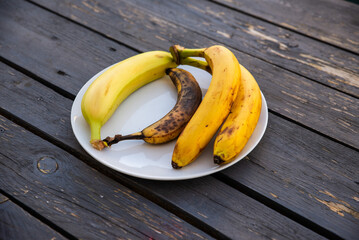 bananas in various different states of ripeness on a plate