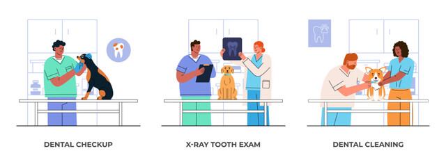 Male and female veterinarians perform dental checkup of dogs in clinic. Tooth Care, X-ray, brush teeth treatment. Flat style vector set illustration