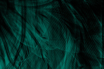 Beautiful dark green viridian vintage color trends feather texture background - 746408760