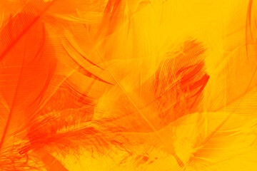 Orange feather phoenix texture pattern for hot background and other - 746408981