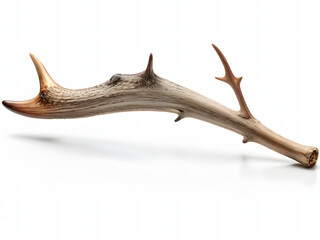 Naklejka premium Antler isolated on white background
