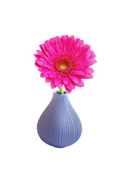 pink gerber flower in vase