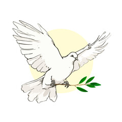 dove of peace illustration, with olive branch 