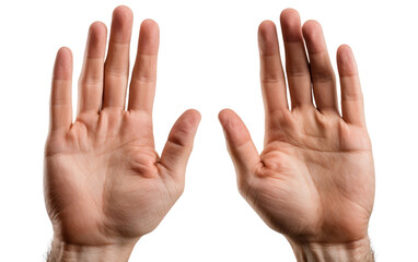 Two Hands Reaching Up to Each Other. The hands are of different genders and skin tones, symbolizing unity and solidarity. on a White or Clear Surface PNG Transparent Background.