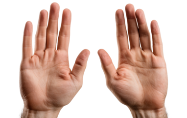 Two Hands Reaching Up to Each Other. The hands are of different genders and skin tones, symbolizing unity and solidarity. on a White or Clear Surface PNG Transparent Background.