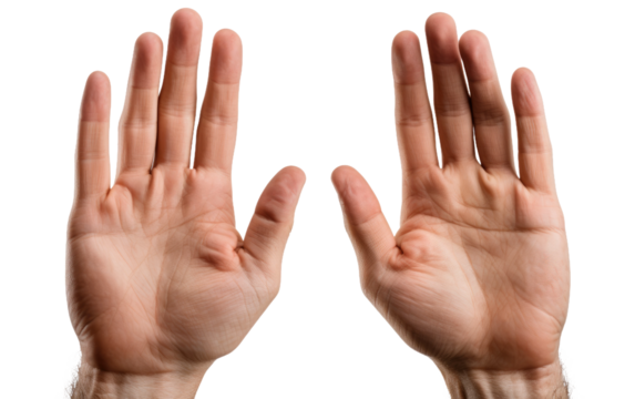 Two Hands Reaching Up to Each Other. The hands are of different genders and skin tones, symbolizing unity and solidarity. on a White or Clear Surface PNG Transparent Background. - Powered by Adobe