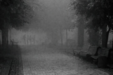 The monochromatic portrayal of cityscapes veiled in mist. The ethereal embrace of fog whispers a...