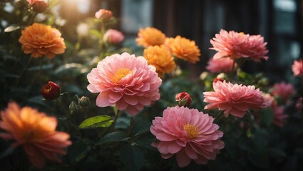 red and yellow flowers,flower, nature, pink, garden, plant, beauty, flowers, blossom, summer, red, dahlia, bloom, orange, petal, chrysanthemum, flora, floral, beautiful, yellow, spring, color, bouquet - Powered by Adobe