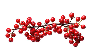 Branch With Red Berries. A The red berries stand out vividly against the neutral backdrop, adding a splash of color to the scene. on a White or Clear Surface PNG Transparent Background.