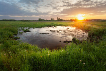 Pond in the meadow at sunset, May evening