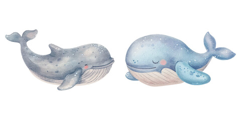cute blue whale watercolor illustration