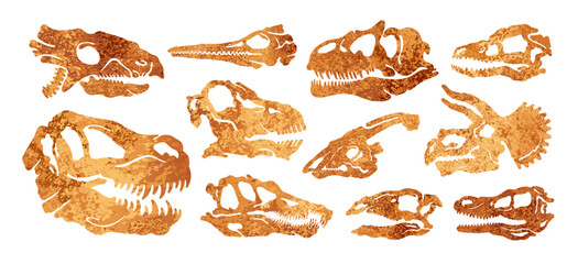 Dinosaur skull fossil set. Dino head with teeth. Bone skeleton footprint. Dead prehistoric Jurassic dino skull. Dinosaur Tyrannosaurus Rex Triceratops Stegosaurus Spinosaurus. Paleontology fossil