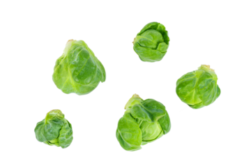 Fresh organic brussels sprouts isolated on white background.Top view