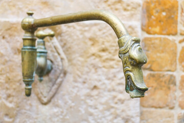 Faucet with vintage animal head brass tap