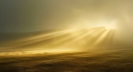 Deurstickers light beams , minimalist landscape. Artistic yellow natural color. Beautiful light. © Lucky Ai