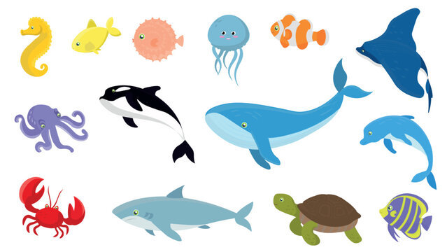 Big sea life set. 14 items. Sea creatures, cartoon flat design. Vector illustrations isolated on white background. 