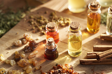 Bottles of aromatherapy essential oils with frankincense, myrrh, cinnamon and dry herbs
