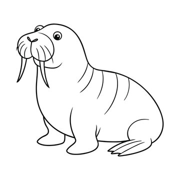 Vector of walrus illustration coloring page for kids