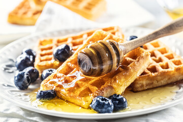 Sweet and very tasty waffles with honey and blueberries - 746434701
