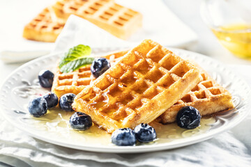 Waffle with honey and blueberries, sweet and vegan breakfast - 746434721