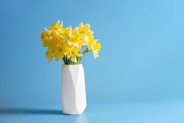 Daffodils Arrangement in Modern Vase. Bright yellow daffodils elegantly displayed in a white modern vase, set against a complementary blue backdrop for a minimalist aesthetic. - 746436560