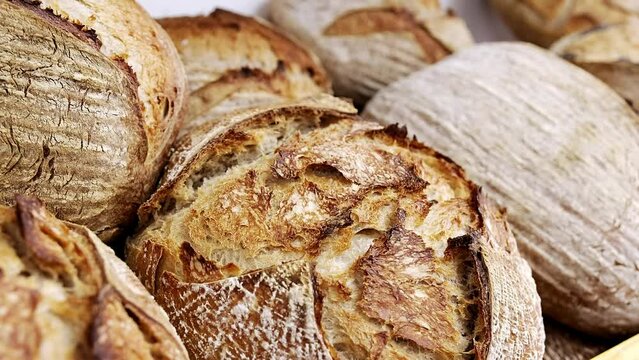 Fresh loaves of sourdough bread displayed for sale