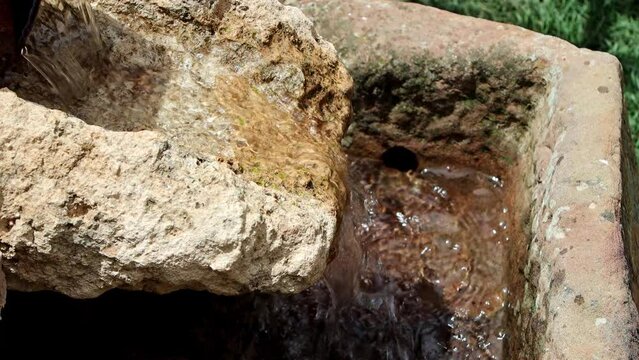 Noria o molino de agua antiguo en jard&iacute;n