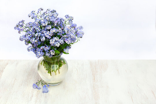 Blue flowers forget-me-not in glass vase on a white wooden table with space for text