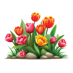 Tulip Flower Bed Clipart  isolated on white background