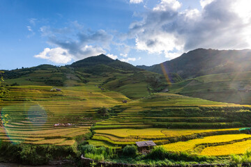 Rice fields on terraced of Mu Cang Chai, YenBai, Vietnam.