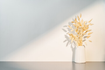 Ceramic vase with dried plant with shadows on the wall