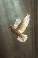 Vertical shot emphasizing the dove's grace and the Holy Spirit's purity, against a clear backdrop