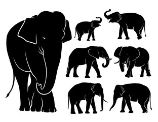 Set of silhouettes of elephants. A family of elephants. Vector isolated illustration on white background