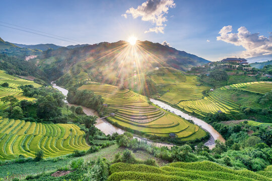 Rice fields on terraced of Mu Cang Chai, YenBai, Vietnam.