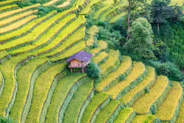 Papier Peint photo Mu Cang Chai Rice fields on terraced of Mu Cang Chai, YenBai, Vietnam.