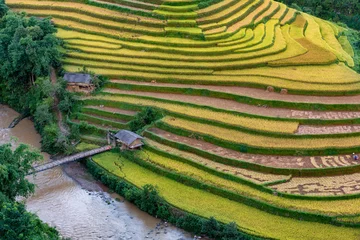 Crédence de cuisine en plexiglas Mu Cang Chai Rice fields on terraced of Mu Cang Chai, YenBai, Vietnam.