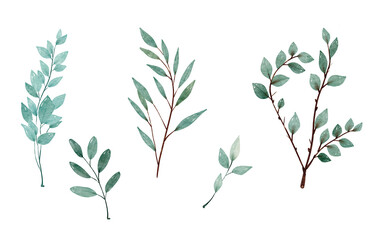 Watercolor leaves set. Set with floral elements and leaves.