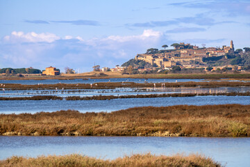 Italy Tuscany Maremma Castiglione della Pescaia, natural reserve of Diaccia Botrona In the background the castle and the ancient village