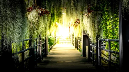 Fototapeten tunnel of light © arwiyada