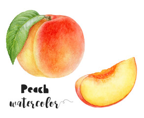 Watercolor illustration of peach fruit with branch close up. Design template for packaging, menu, postcards.