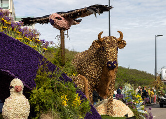 Spectacular flower covered floats in the annual spring flower parade from Noordwijk to Haarlem in the Netherlands.