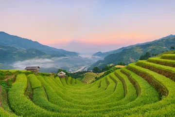 Fotobehang Mu Cang Chai Rice fields on terraced of Mu Cang Chai, YenBai, Vietnam.