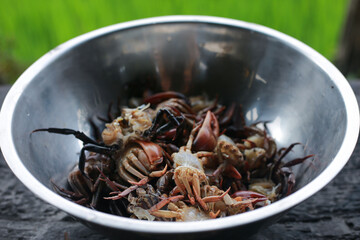 Selective focus Many field crab are peeled, washed, and cleaned for cooking in a stainless steel container. Simple, natural food from rural farmers in