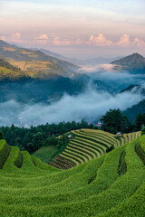 Rice fields on terraced of Mu Cang Chai, YenBai, Vietnam.