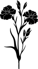 Graceful Black Silhouette Pair of Carnation Flowers for Embellishments and Artistic Concepts