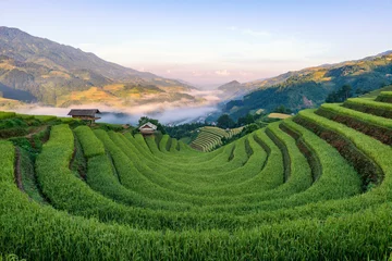 Papier Peint photo Mu Cang Chai Rice fields on terraced of Mu Cang Chai, YenBai, Vietnam.